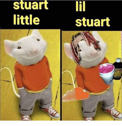 Little And Stuart Stuarti Little Stuart